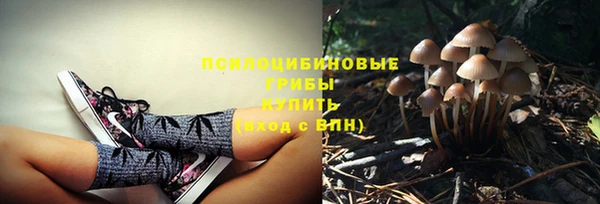кристаллы Алзамай