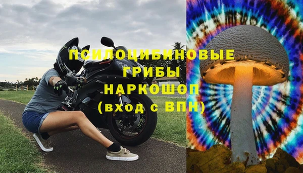 эйфоретик Алексин