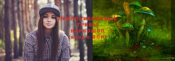 кристаллы Алзамай